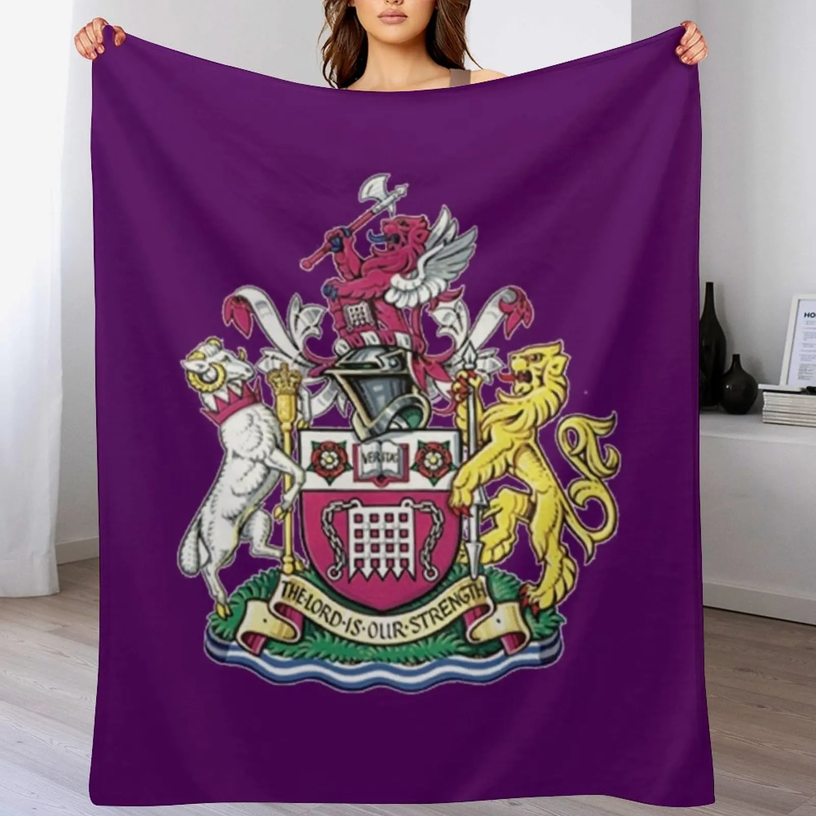 Home Office Westminster - Westminster of icon Throw Blanket Warm